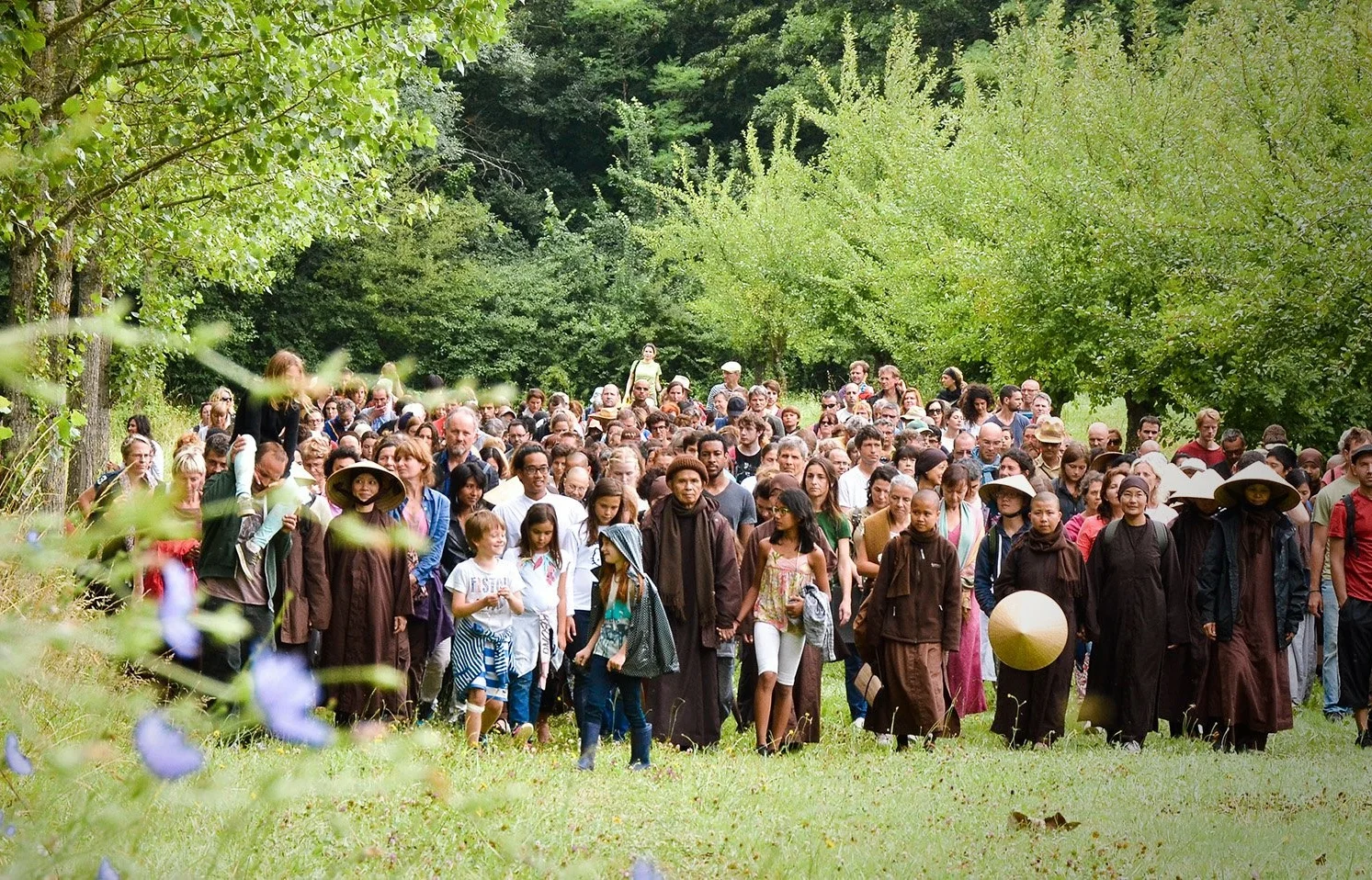★plumvillage★ Blue Cliff Monastery — Thich Nhat Hanh Foundation
